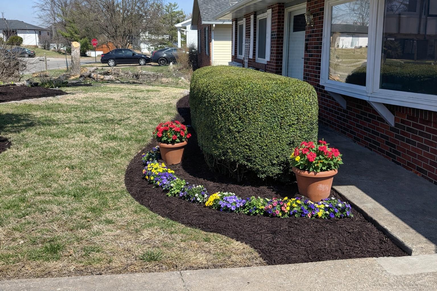 Landscaping transformation