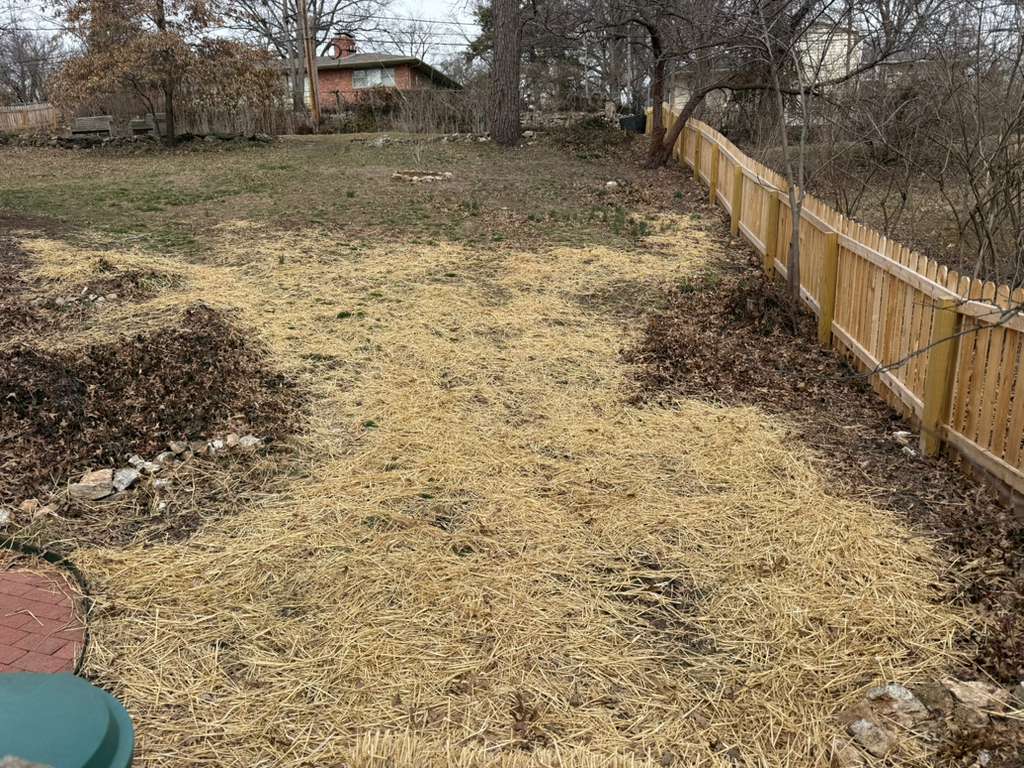 Before landscaping