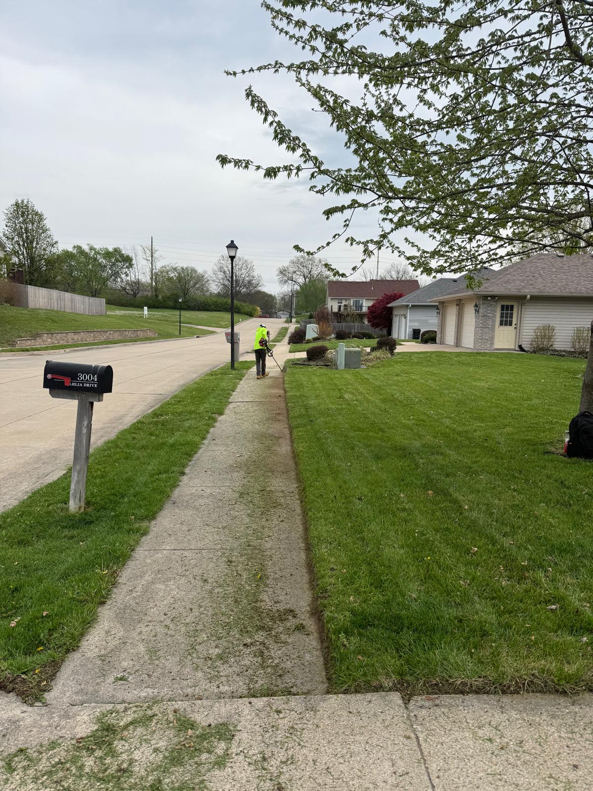 Lawn Mowing Service