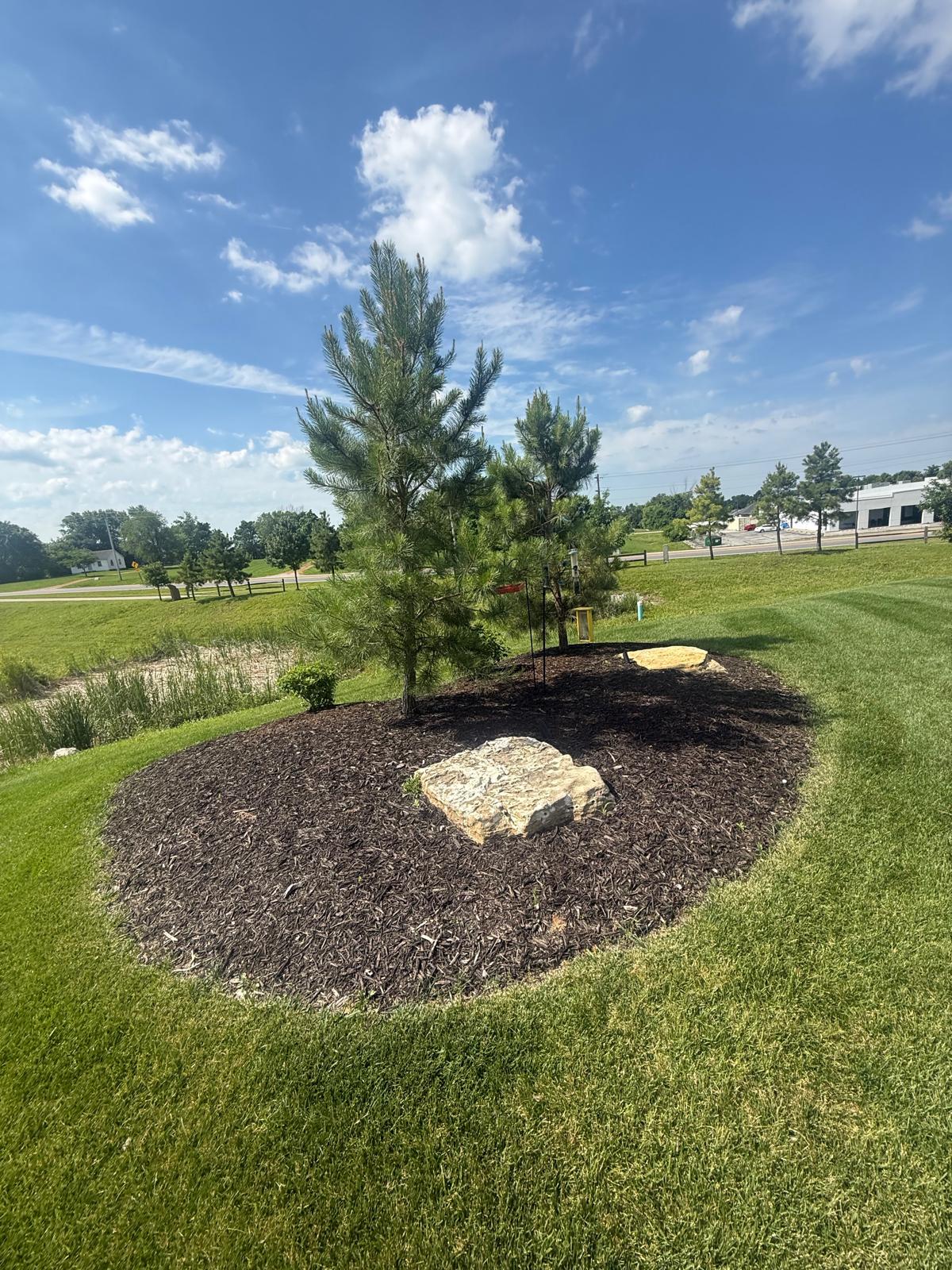Beautiful garden