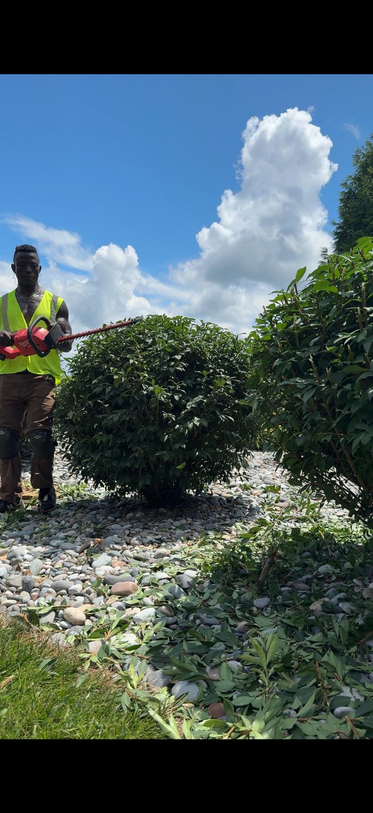 Trimming and Pruning